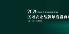 2025区域ac米兰比赛现场直播品牌年度盛典系列活动
